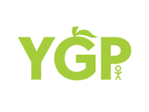 ygp