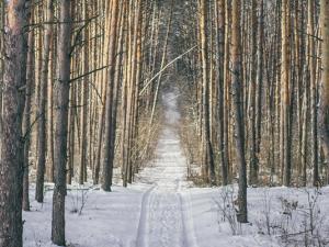 Whether you’re the outdoorsy type or a couch potato, the provincial government would like to give you a reason to get outside and explore this month.