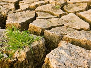 It’s hard, if not impossible, to think of a greater existential threat to our species than climate change.
