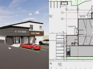 Conceptual drawing and site plan for new the Blue Buffalo Wash Factory.