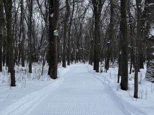 Baudry Trail, groomed for cross-country skiing.