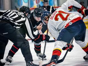 The Niverville Nighthawks looked like a good hockey team again as they dismantled the Portage Terriers by a 6–3 count on Wednesday night in the team’s final home game of the regular season. 