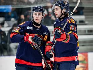 The Niverville Nighthawks were once again able to get the upper hand on the Portage Terriers with a vital 4–2 win on the road on Saturday evening. 