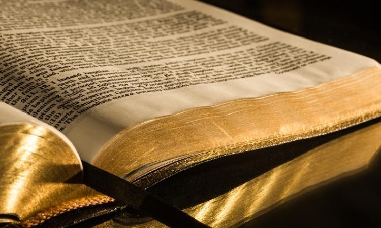 Once upon a time, long ago, I went to church. My family went to church every week without fail and I liked church as a young child. I felt safe and close to holiness, even if I didn’t recognize that this is what I felt.