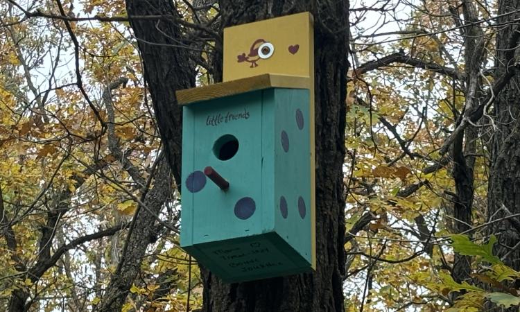 There are now 60 birdhouses along the Baudry Trails in Ste. Agathe.