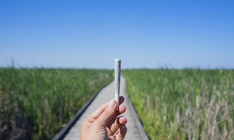 Legal marijuana is coming up fast. Are we ready?