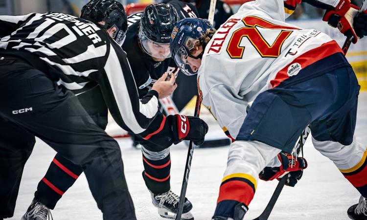 The Niverville Nighthawks looked like a good hockey team again as they dismantled the Portage Terriers by a 6–3 count on Wednesday night in the team’s final home game of the regular season. 