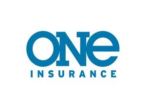 one ins 