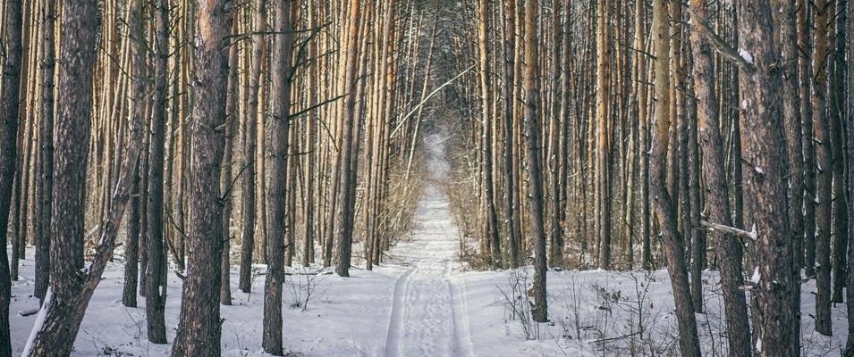 Whether you’re the outdoorsy type or a couch potato, the provincial government would like to give you a reason to get outside and explore this month.
