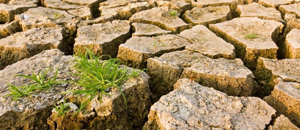 It’s hard, if not impossible, to think of a greater existential threat to our species than climate change.