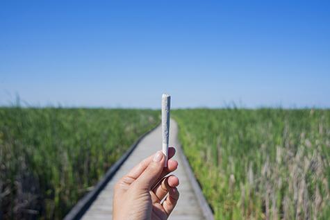 Legal marijuana is coming up fast. Are we ready?