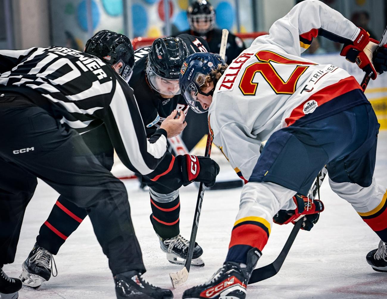 The Niverville Nighthawks looked like a good hockey team again as they dismantled the Portage Terriers by a 6–3 count on Wednesday night in the team’s final home game of the regular season. 