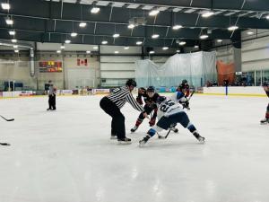 The Niverville Nighthawks put up another stinker at home on Wednesday night with a 6–1 loss to the Steinbach Pistons.
