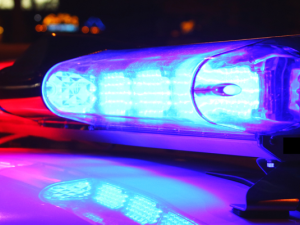 For several local families, this year’s July long weekend ended on a terrifying note.