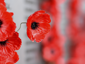 After two years of hosting outdoor events, the Niverville Remembrance Day Committee is excited to announce the return of this year’s ceremony and luncheon to the warm and inviting indoor setting of the Niverville Heritage Centre.