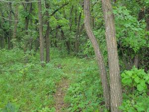The Baudry Trail system is located near Ste. Agathe.