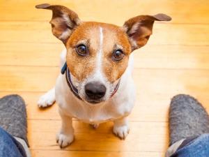 On these quiet summer days, The Citizen is publishing some short first-person narratives from local people with stories to share.