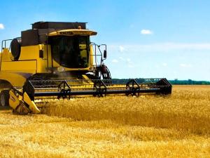 Local farmer Marc Loeppky has few words to describe this year’s crop production other than that it’s “all over the map.” Loeppky’s farm, located immediately southwest of Niverville, consists of 3,200 acres of planted fields.