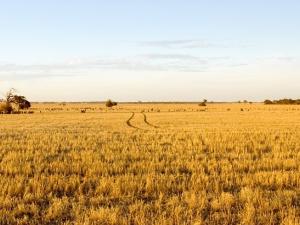 Farmers across southeastern Manitoba are worried this year, and they’re not alone. Drought conditions all across the province, and even throughout western Canada, have produced a somewhat bleak outlook for this year’s crop.