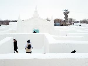 The snow maze at A Maze in Corn near St. Adolphe.