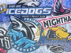 Four weeks ago, the board of directors of Niverville’s new MJHL hockey franchise launched a public engagement process to hear ideas about what to name the team. Now, the team name submissions have been whittled down to a short list of 12 potential names.