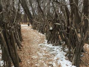 The "Friendship Trail" in St. Adolphe.