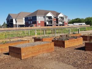 The Niverville Community Gardens, next to the Niverville Curling Club.