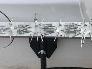 Nails collected from the surface of Highway 200 last year.