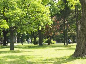 On Thursday, June 10, Premier Brian Pallister held a press conference to lay out a loose framework for reopening Manitoba’s economy and allowing Manitobans to enjoy broader freedoms progressively throughout the summer.