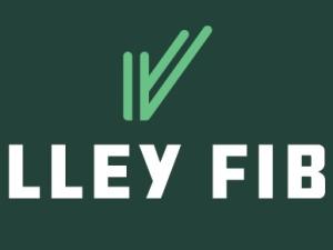 Residents of Ste. Agathe can look forward to significantly improved internet service later this year. Valley Fiber, an internet service provider based out of Winkler, Manitoba has announced that they’ve reached an agreement to expand into the town, bringing with them fast, secure fibre and wireless internet.