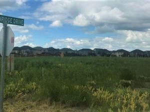 The undeveloped lots on Breckenridge Drive in Niverville.
