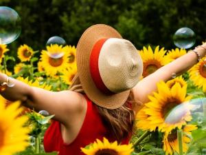 A Maze in Corn near St. Adolphe has added a new activity to its roster, a roster which already includes the annual corn maze, zipline runs, and a snow maze that went down in the Guinness Book of World Records earlier this year as the largest snow maze in the world.