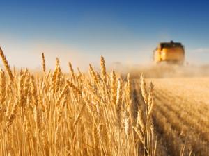 With spring-like temperatures warming up our thermostats earlier this week, snow began to quickly disappear.