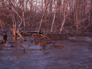 Waters are rising along the Red River.