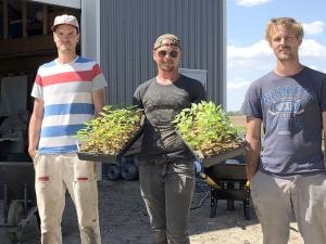 The team at Natural Collective CSA.