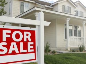 Life for a real estate agent is always a bit like riding a rollercoaster.