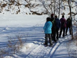 Taking in Manitoba's wintry beauty on snowshoes.