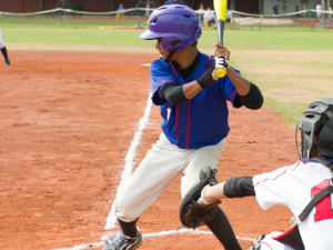 Members of the Niverville Youth Baseball committee were thrilled to receive the rubber stamp on their application to host the Baseball Manitoba 11U A provincial championship in the summer of 2019. 