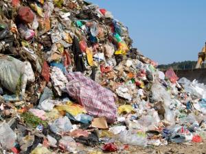 We’ve arrived at a time when global warming has become the most talked about issue in nearly every country around the world. 