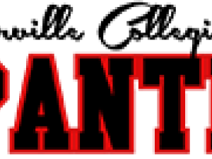 Varsity Girls Panthers