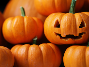 The St. Adolphe Childcare Centre has been busy fundraising for their expansion, adding a Halloween Spooktacular event at the end of October.