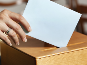 The October 24 trustee election will bring change to local residents in the Seine River and Hanover School Divisions.