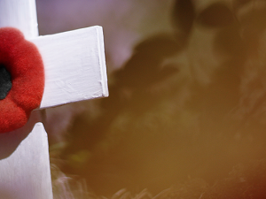 The Remembrance Day committees in Niverville and Ritchot have been actively organizing services for November 11. 