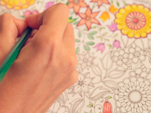 A local woman is getting on board with the adult colouring trend by offering Niverville’s first ever Color Between the Wines event. 