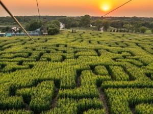 Amazing Zip Lines near St. Adolphe