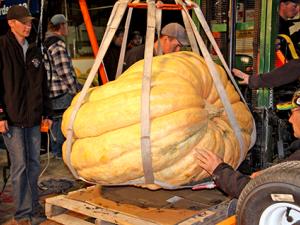Huge pumpkins draw a crowd at the weigh-off
