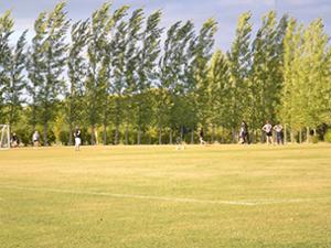 Soccer to Light Up Hespeler Park This Fall