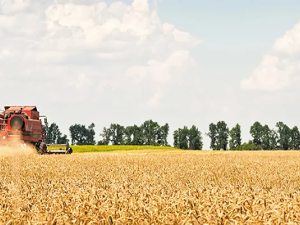 Combine hit the field in southern Manitoba