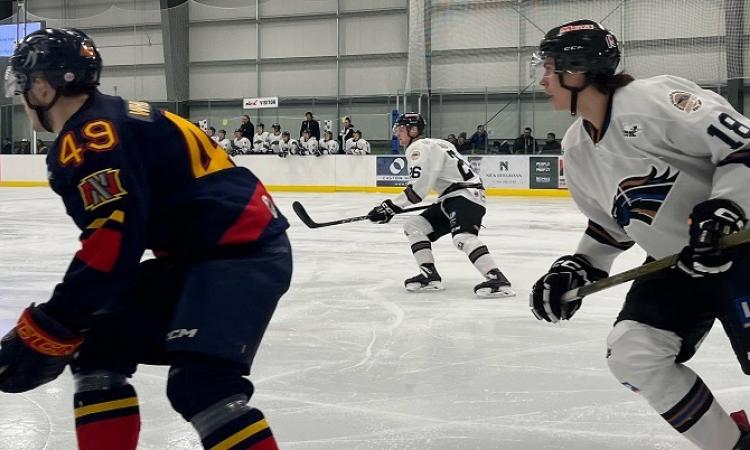 The Nighthawks had an off night Saturday against the Swan Valley Stampeders.