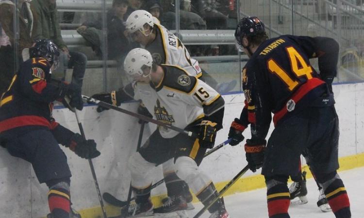 The Nighthawks came up short against the Neepawa Titans by a score of 6–4 score at the CRRC on Wednesday evening.